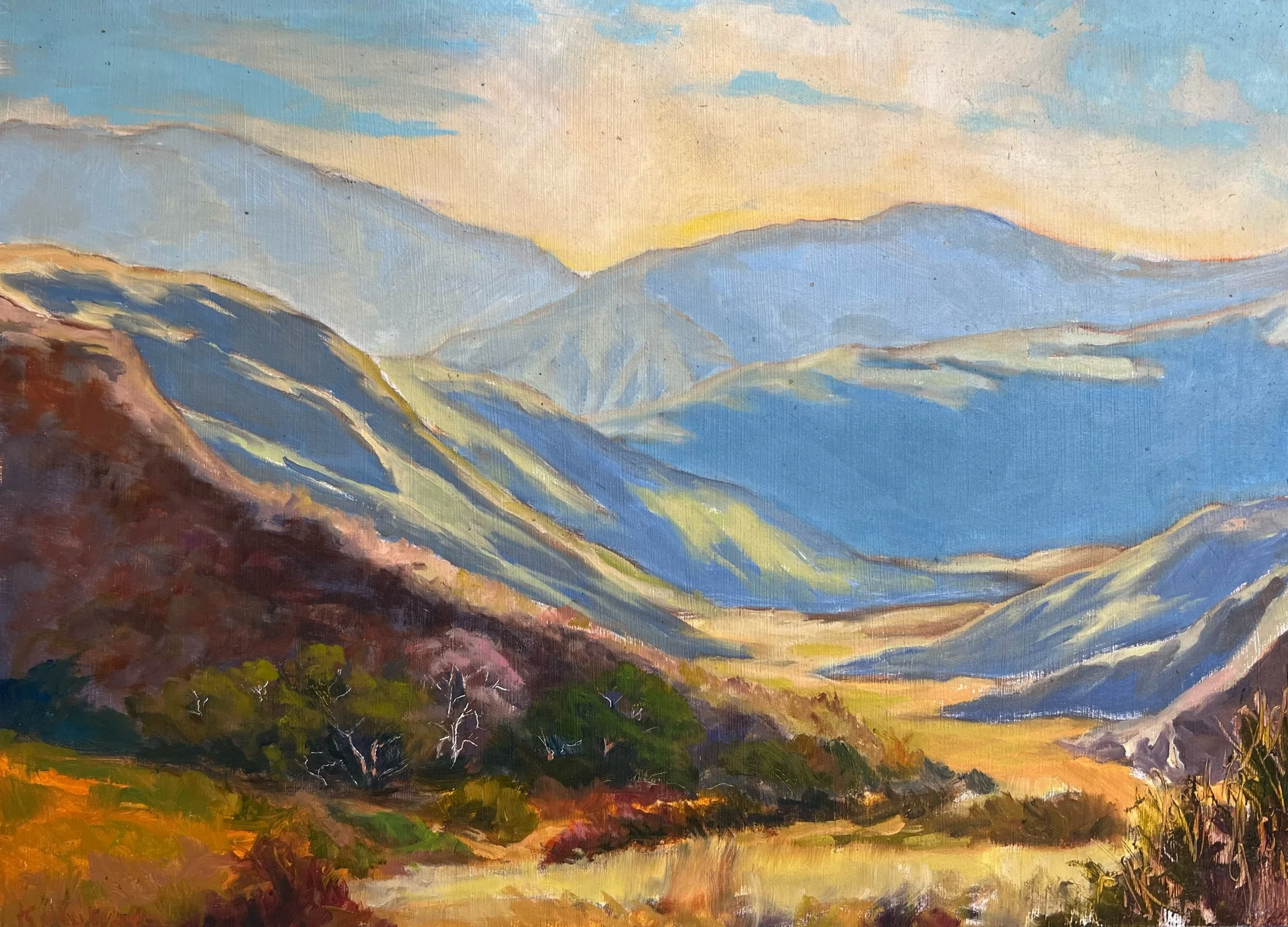 IMG_2333.jpeg