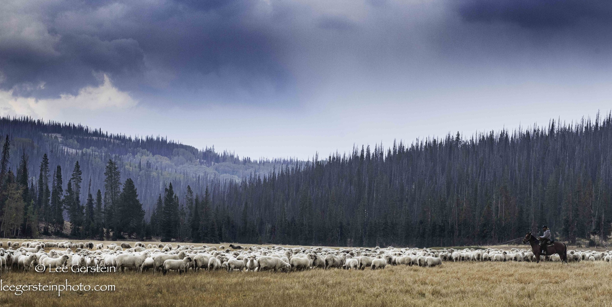  Wolf Creek Pass 