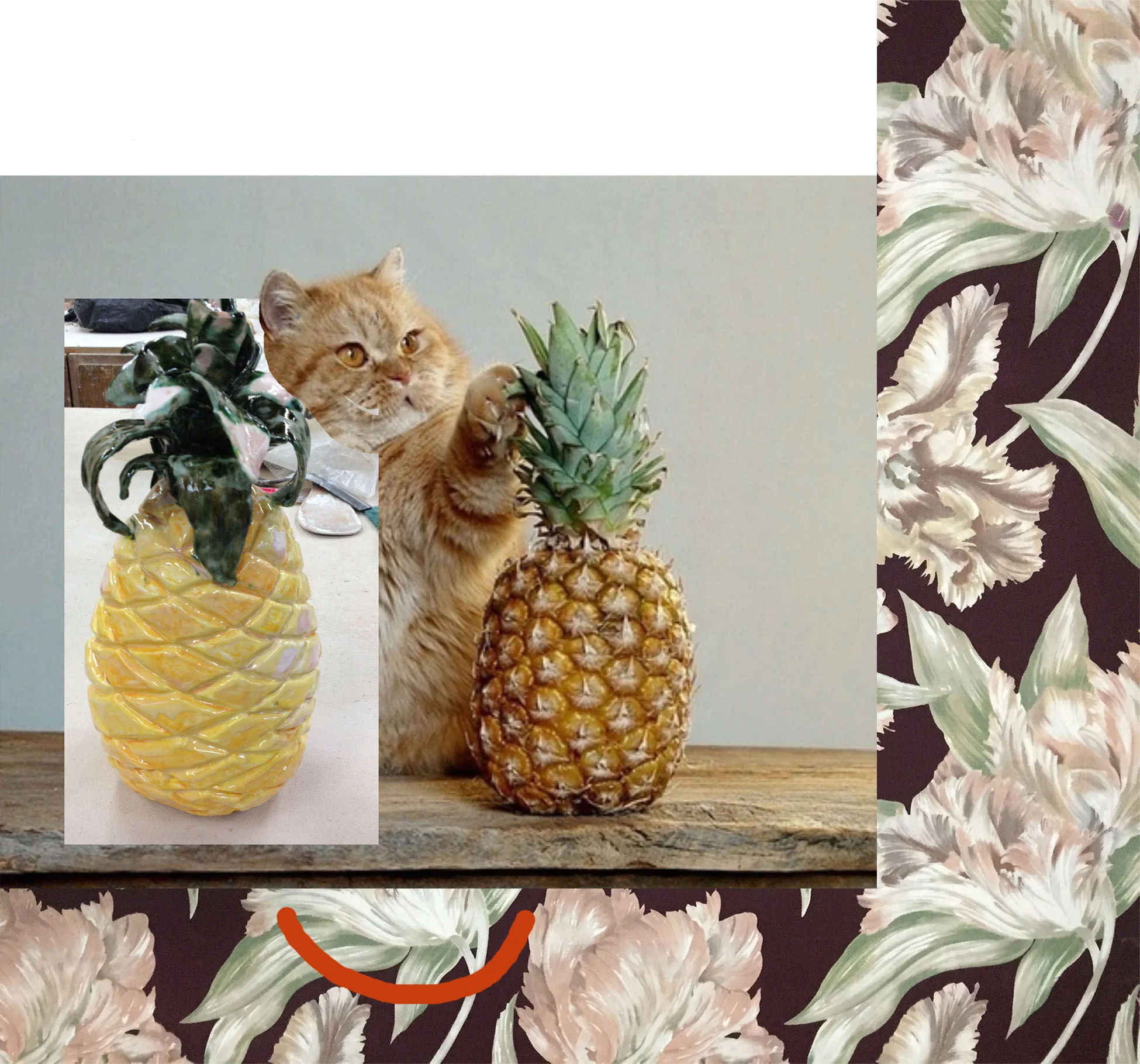 pineapplecatplus.jpg