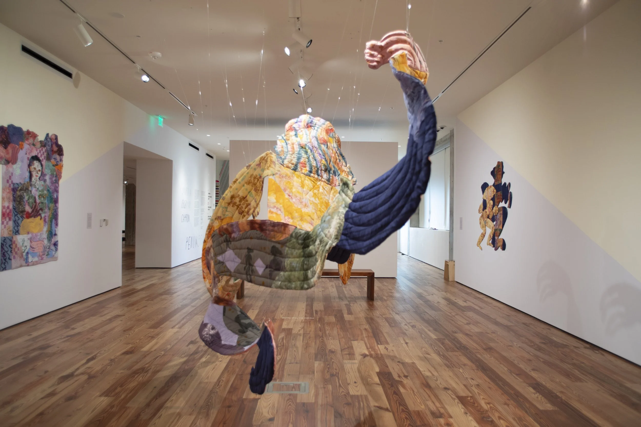   Sombra , 2026. Hand dyed and printed fabric, thread, batting and stuffing. 15 ft long (4.572 M), varies with installation. 