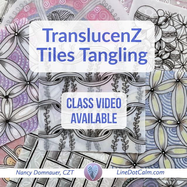 TranslucenZ Flyer Website.PNG