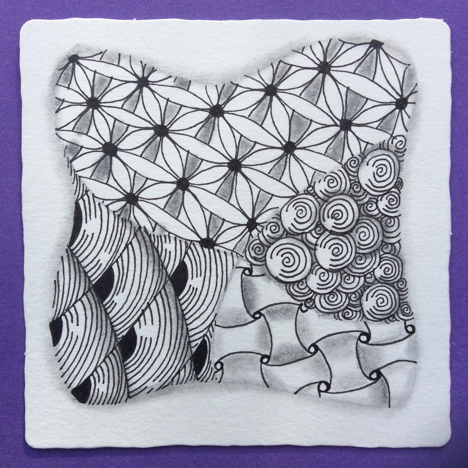 Zentangle purple by Nancy Domnauer CZT.JPG