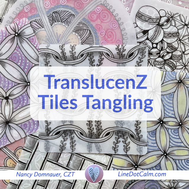 TranslucenZ Class Flyer for Website.PNG