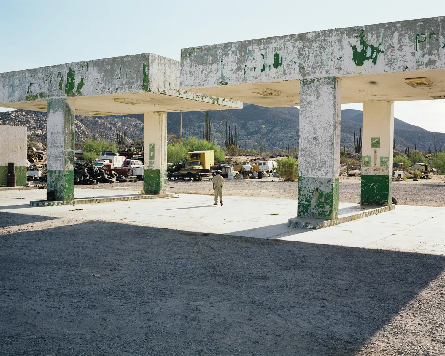 Shaman from the series TO BUILD ITSELF RUIN OR WONDER Archival Pigment Print 2012–2014