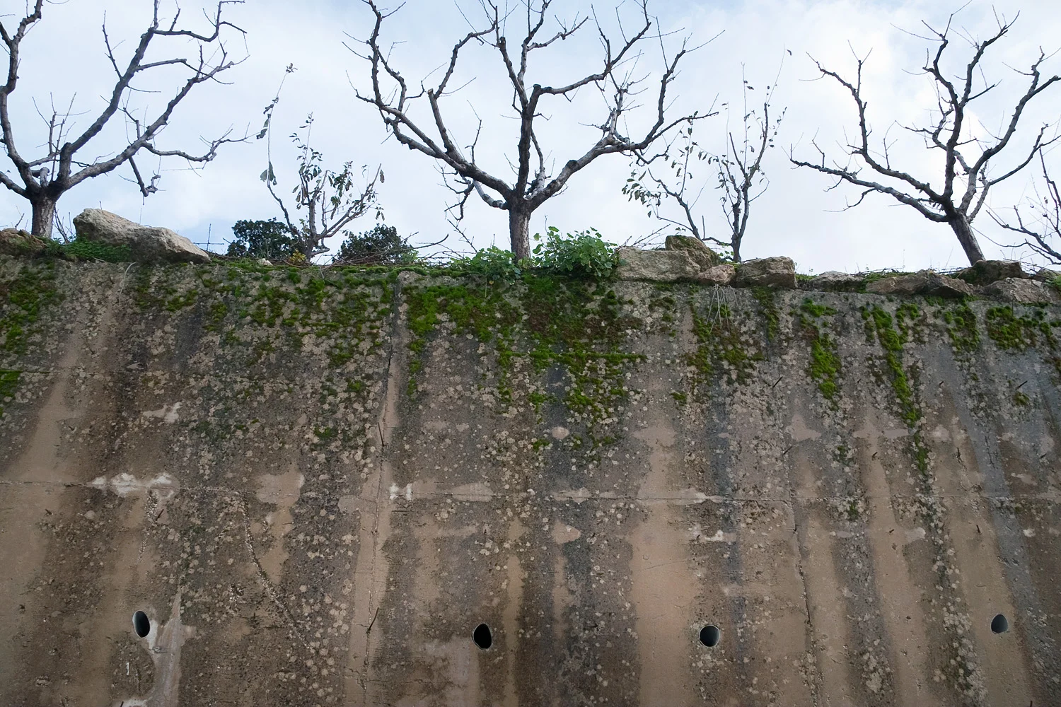 Bseba wall from the series CONATUS Digital C-Print 2008