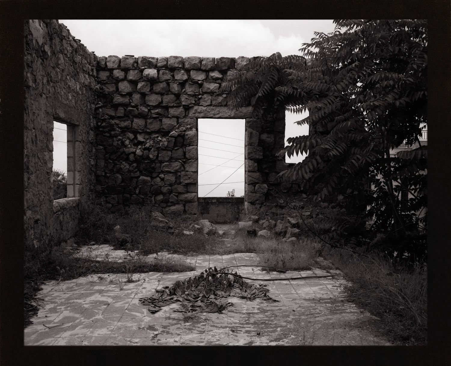 from the series VALLEY OF THE SAINTS Salt Print 2011