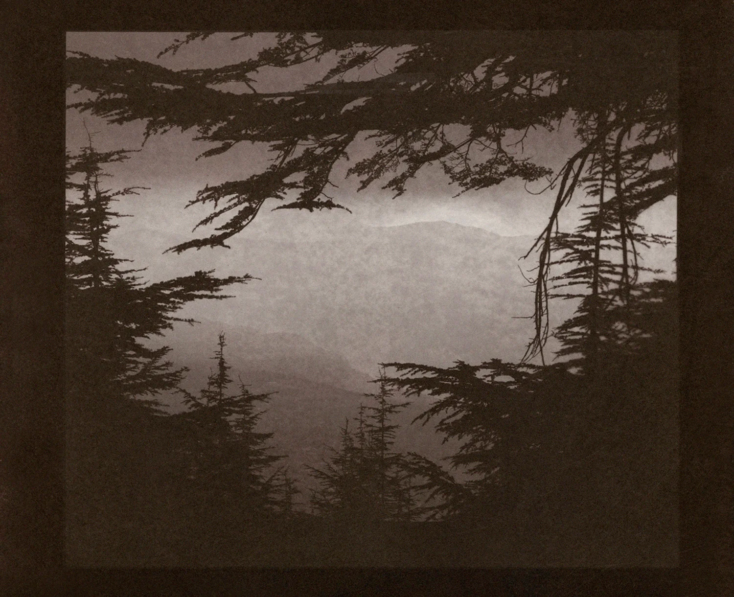 from the series VALLEY OF THE SAINTS Salt Print 2011