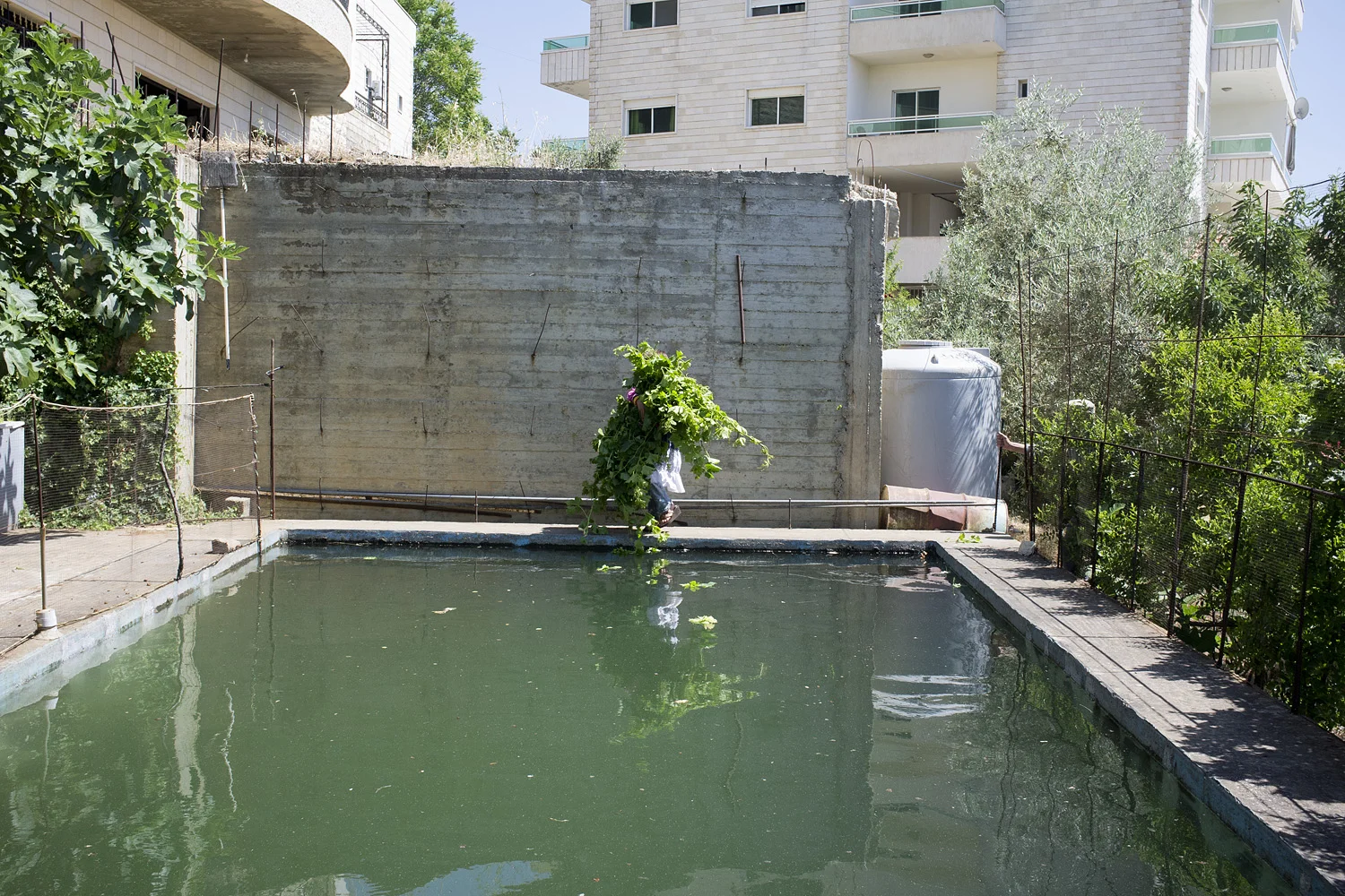 Green Eclipse from the series TO BUILD ITSELF RUIN OR WONDER Archival Pigment Print 2012–2014