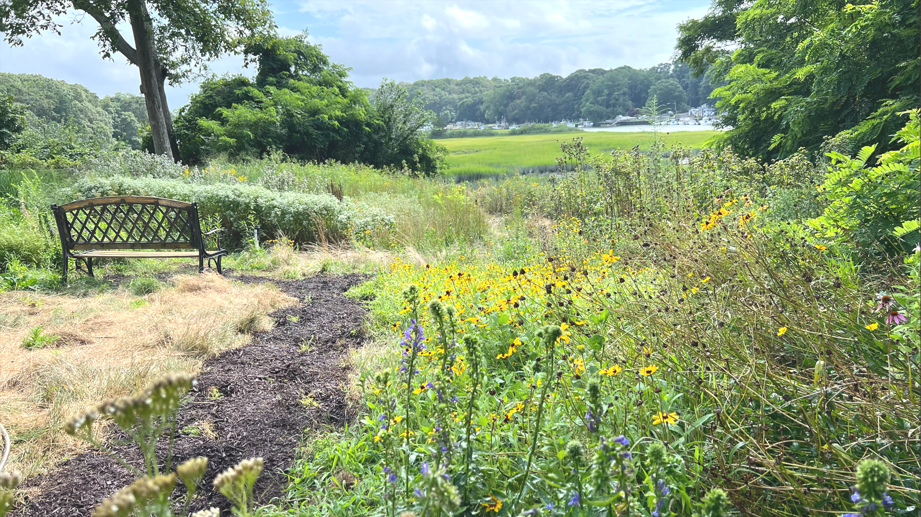 Screenshot 2026-02-11 103023.png