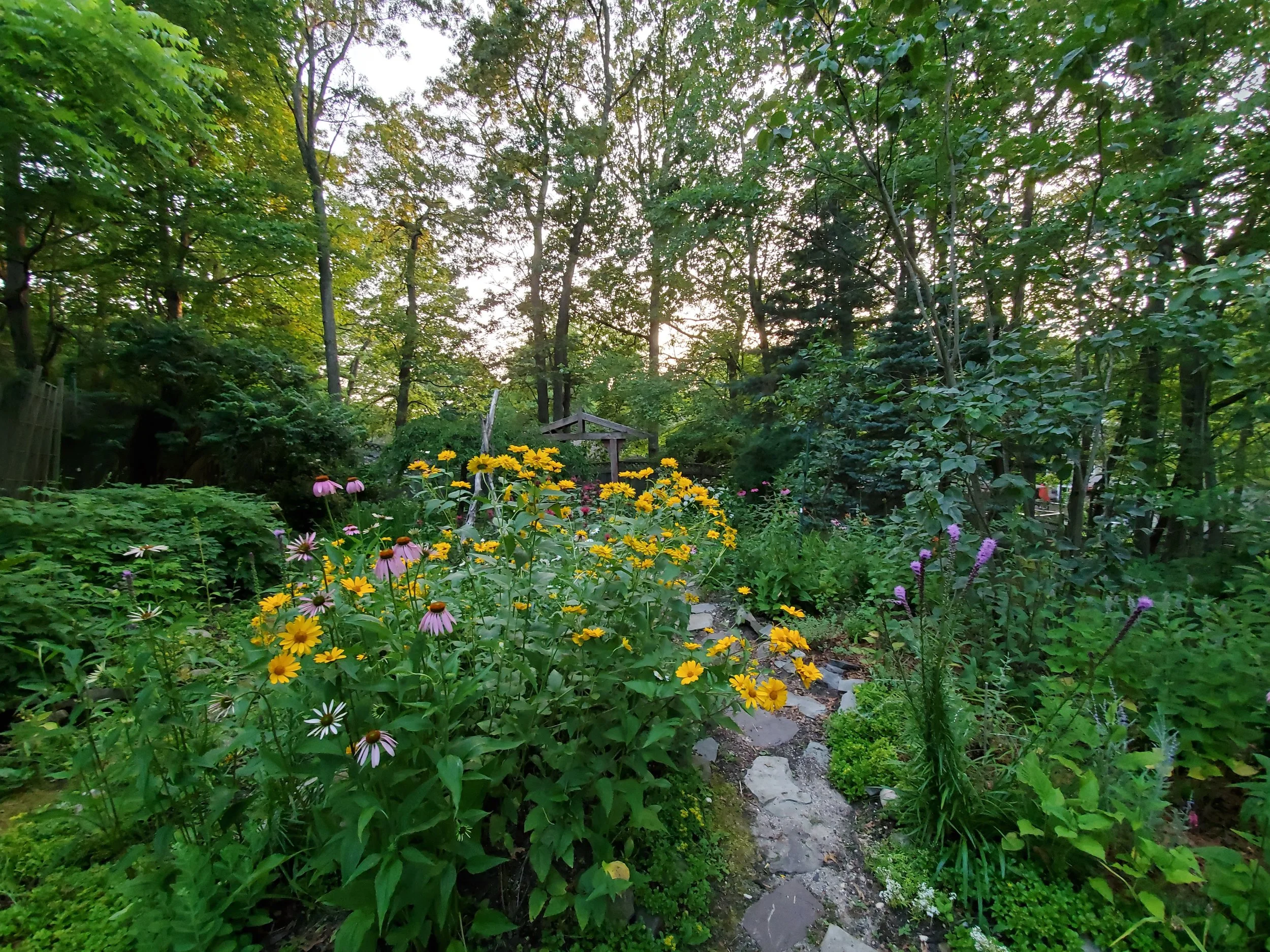 Copy of 20190708_200234.jpg