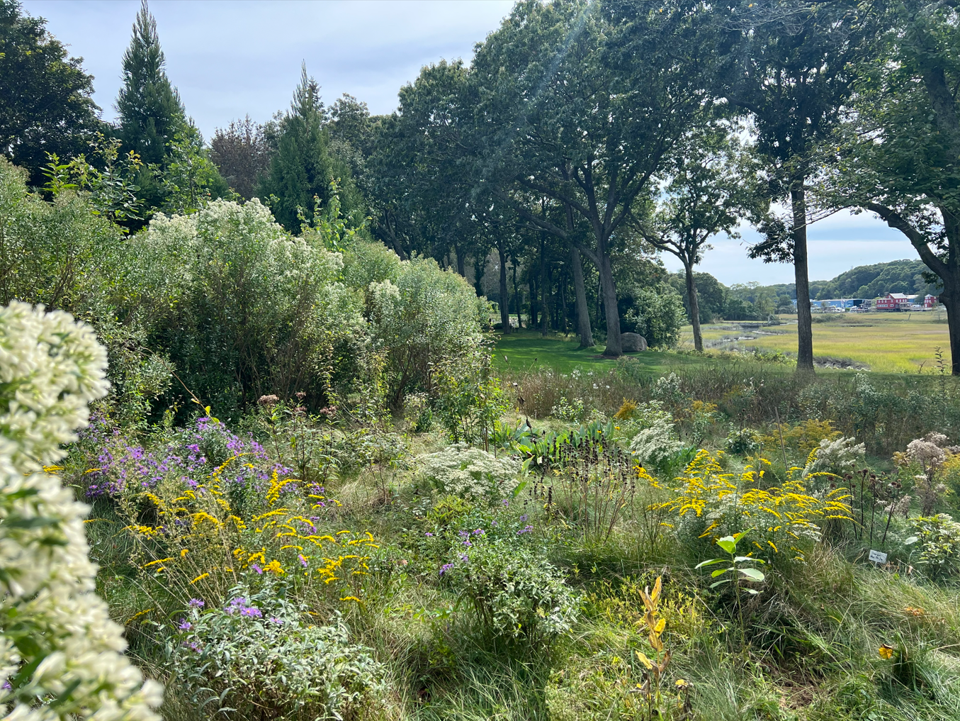 Screenshot 2026-02-11 100903.png