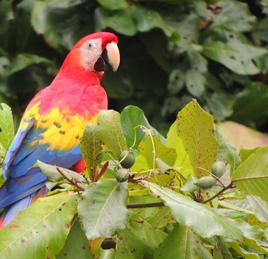 Costa Rica