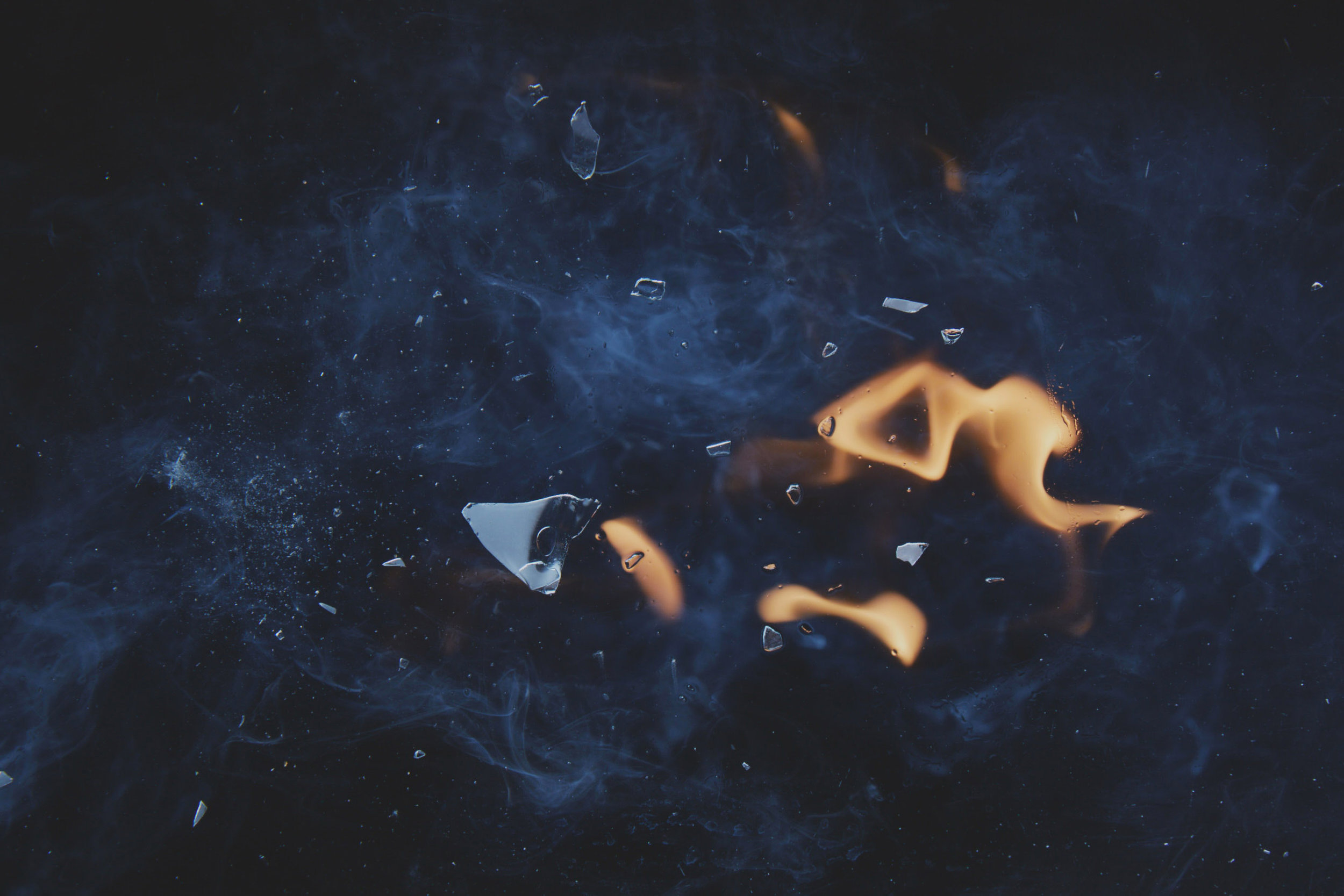 keller_092016_bulb0192 copy.jpg