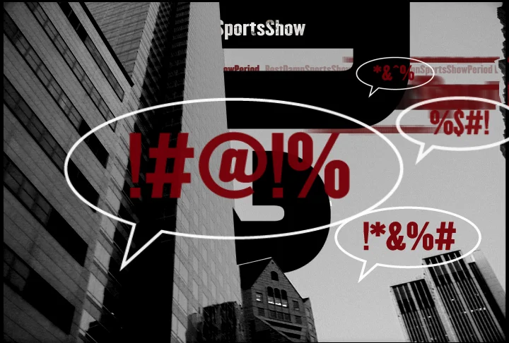 BDSSP Segment Bumper 1