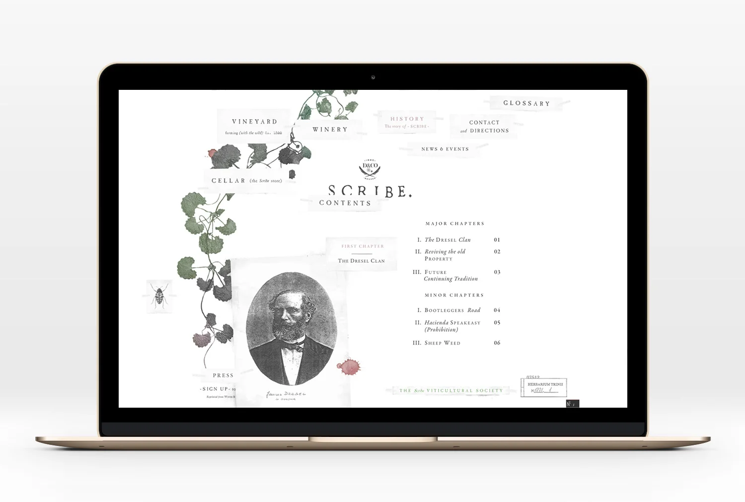 Scribe-Website-02.jpg