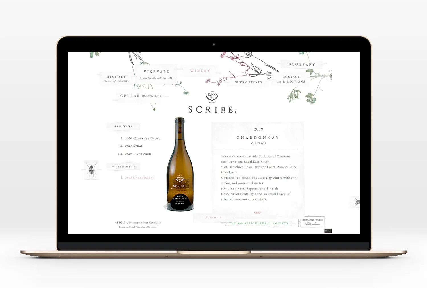 Scribe-Website-04.jpg