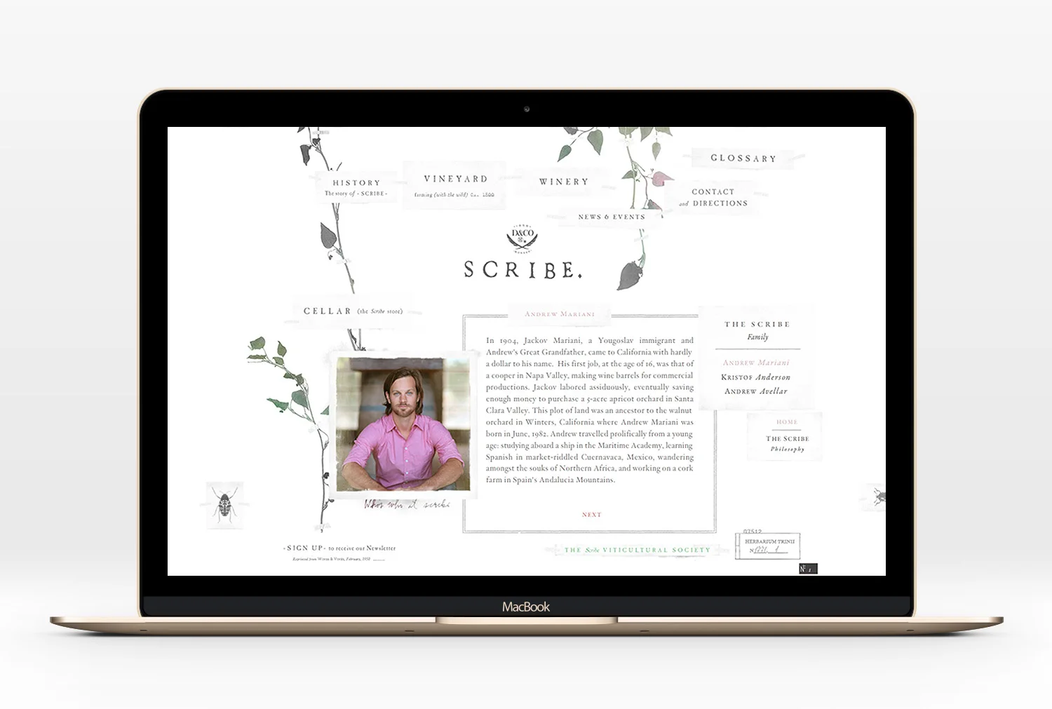 Scribe-Website-03.jpg