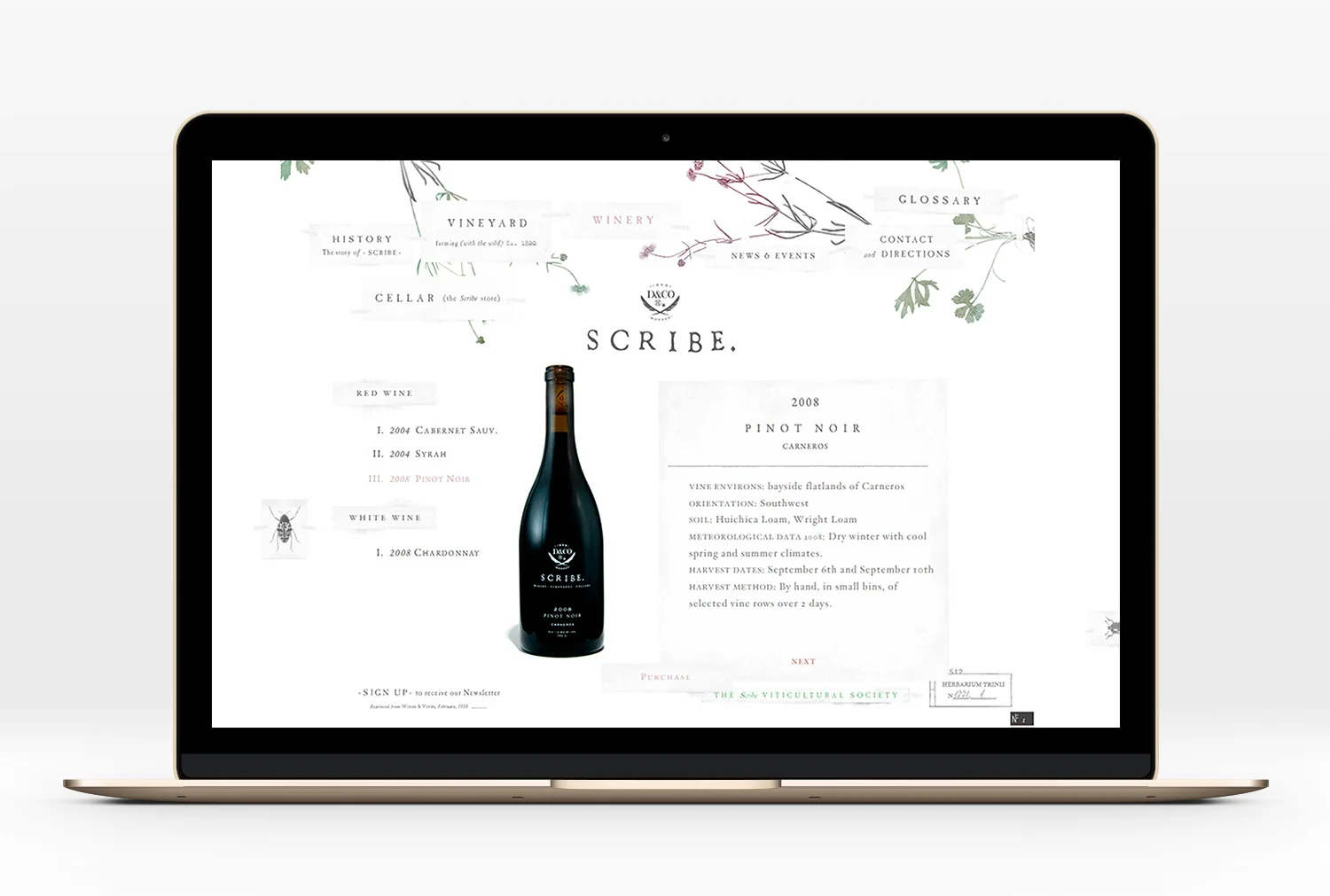 Scribe-Website-05.jpg