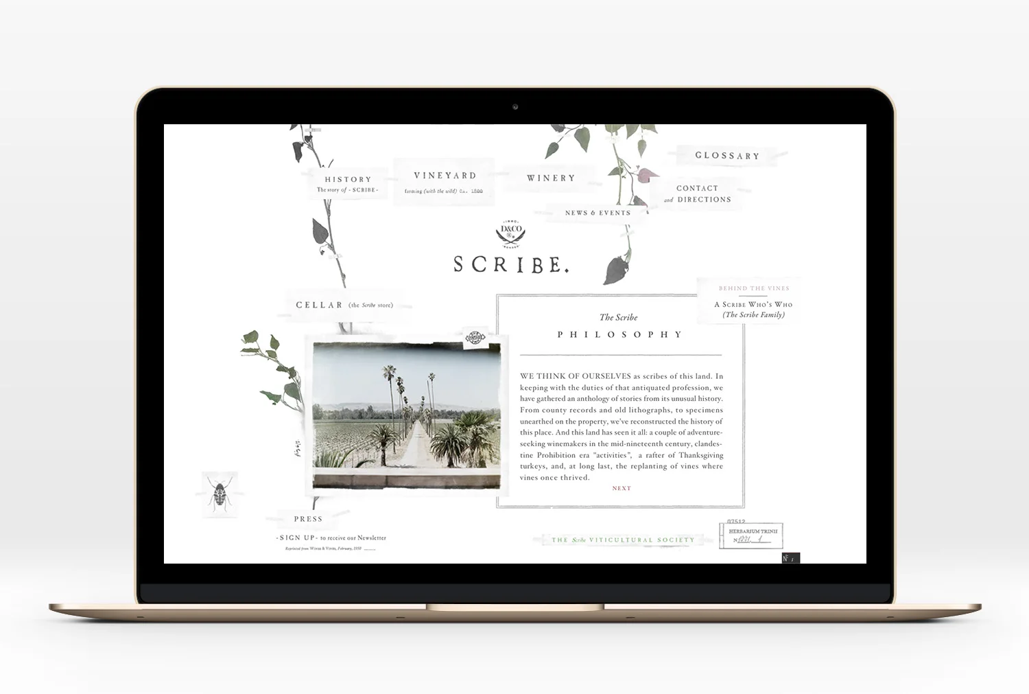 Scribe-Website-06.jpg