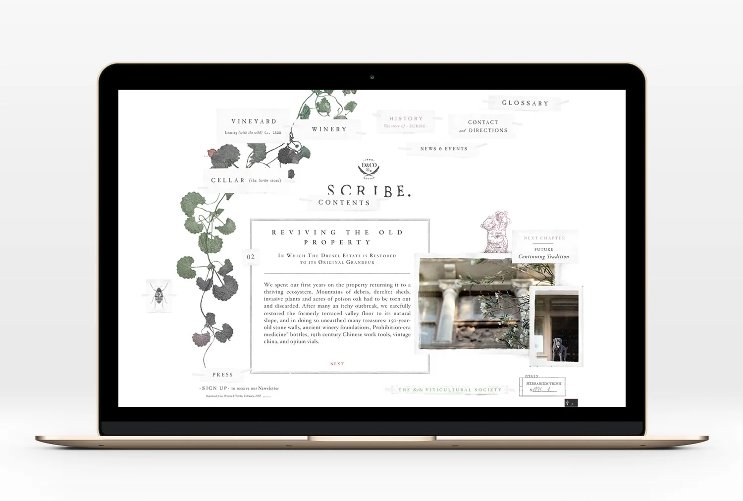 Scribe-Website-07.jpg