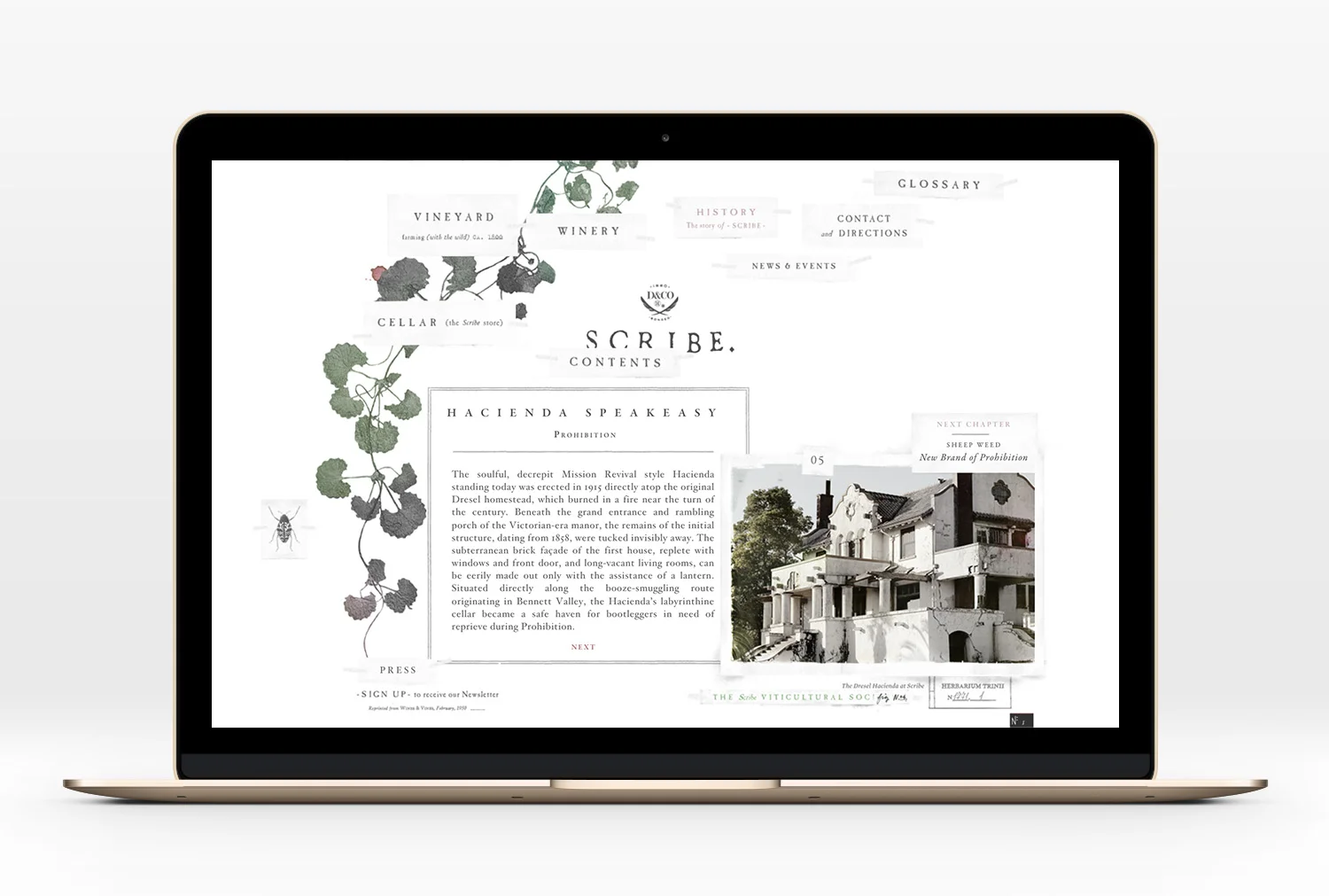 Scribe-Website-08.jpg