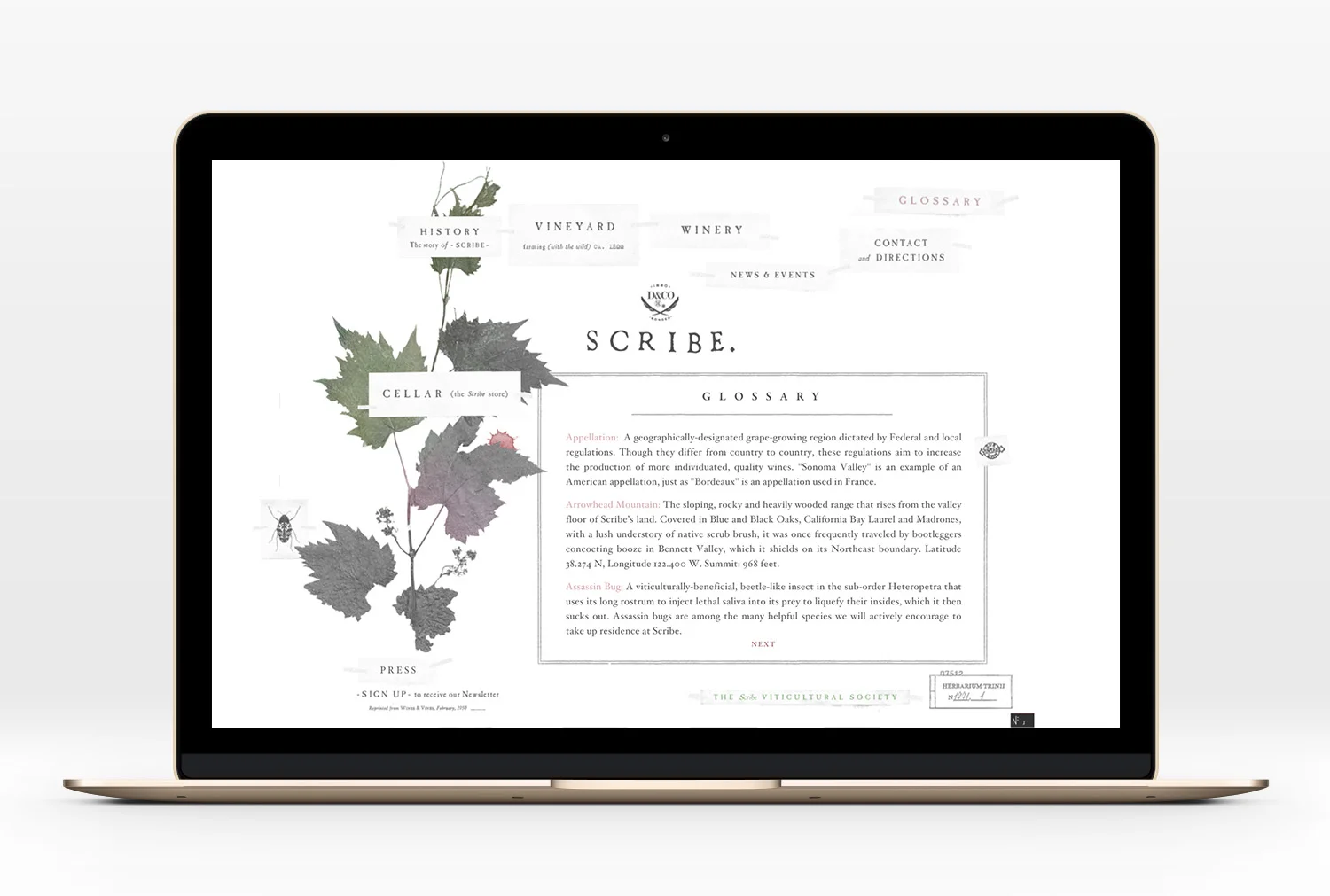 Scribe-Website-10.jpg
