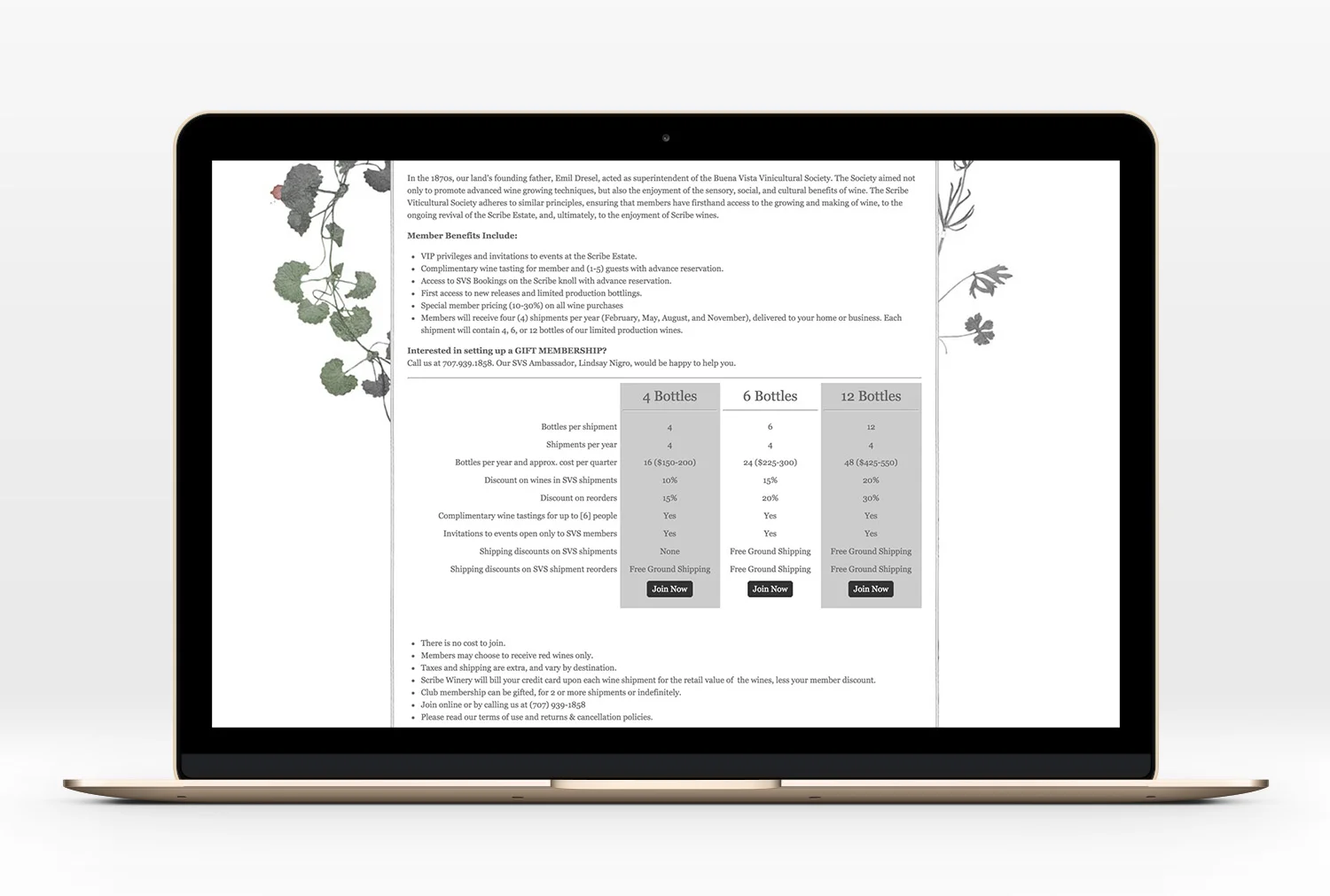 Scribe-Website-14.jpg