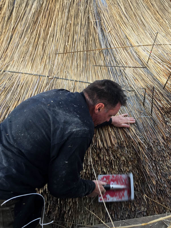 Using a thatching spade to form and align the thatch ends