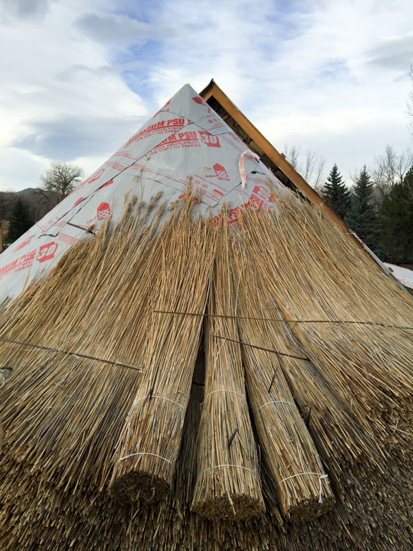 Laying out the thatch in bundles