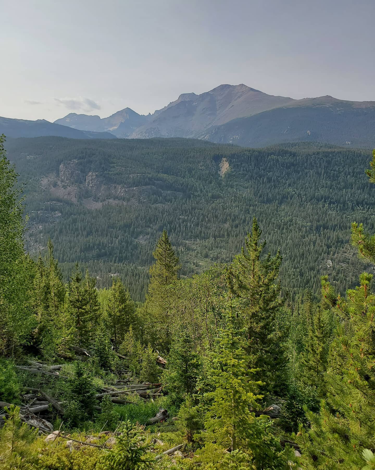 An area we can't seem to get enough of lately. Explored a new loop with mama and papa Slowey. The trees opened up for a stellar view of Chief's Head &gt; Pagoda &gt; Longs &gt; Meeker.