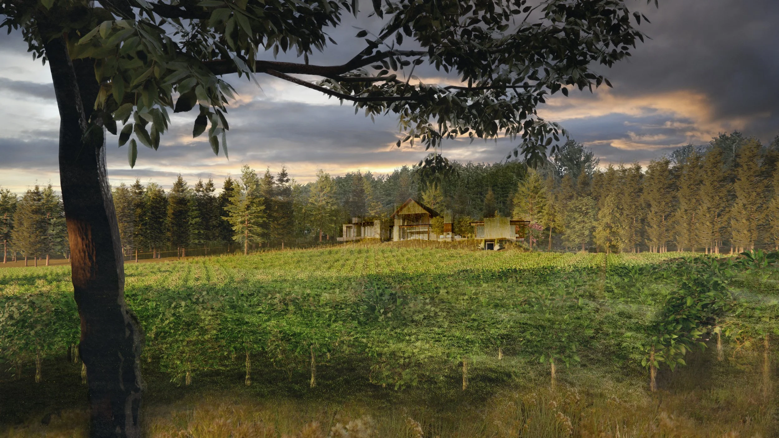 SD View - 1 - Chestnut Grove - REVISED.jpg