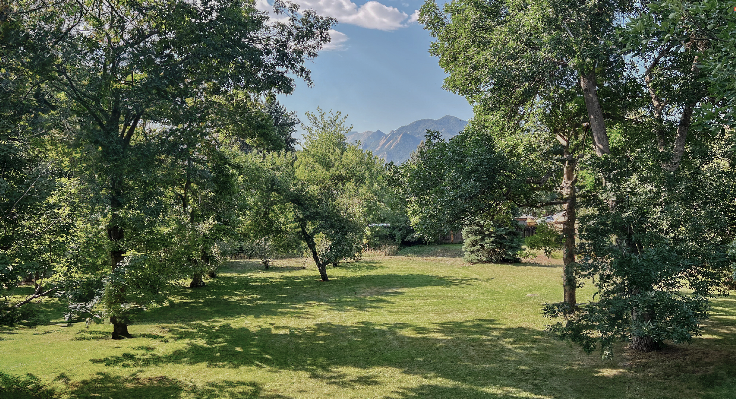 IMG_2279 - EDITED - Screenshot.PNG