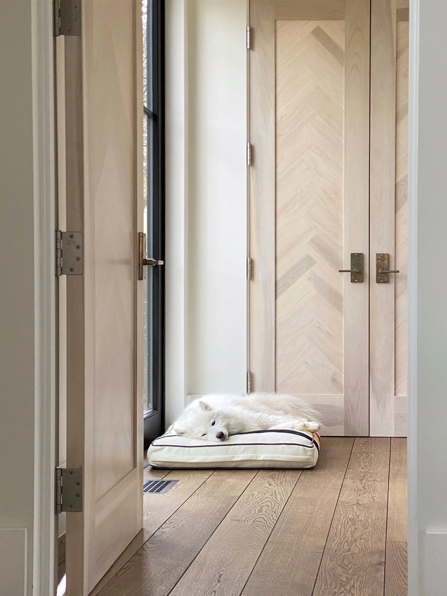 Mid-week vibes at Chickadee: a floof catches up on her rest. The white-stained herringbone doors and cast bronze hardware provide a light, elegant contrast to the home&rsquo;s structural steel and dark cabinetry // #sa_chickadee #surroundarchinterior