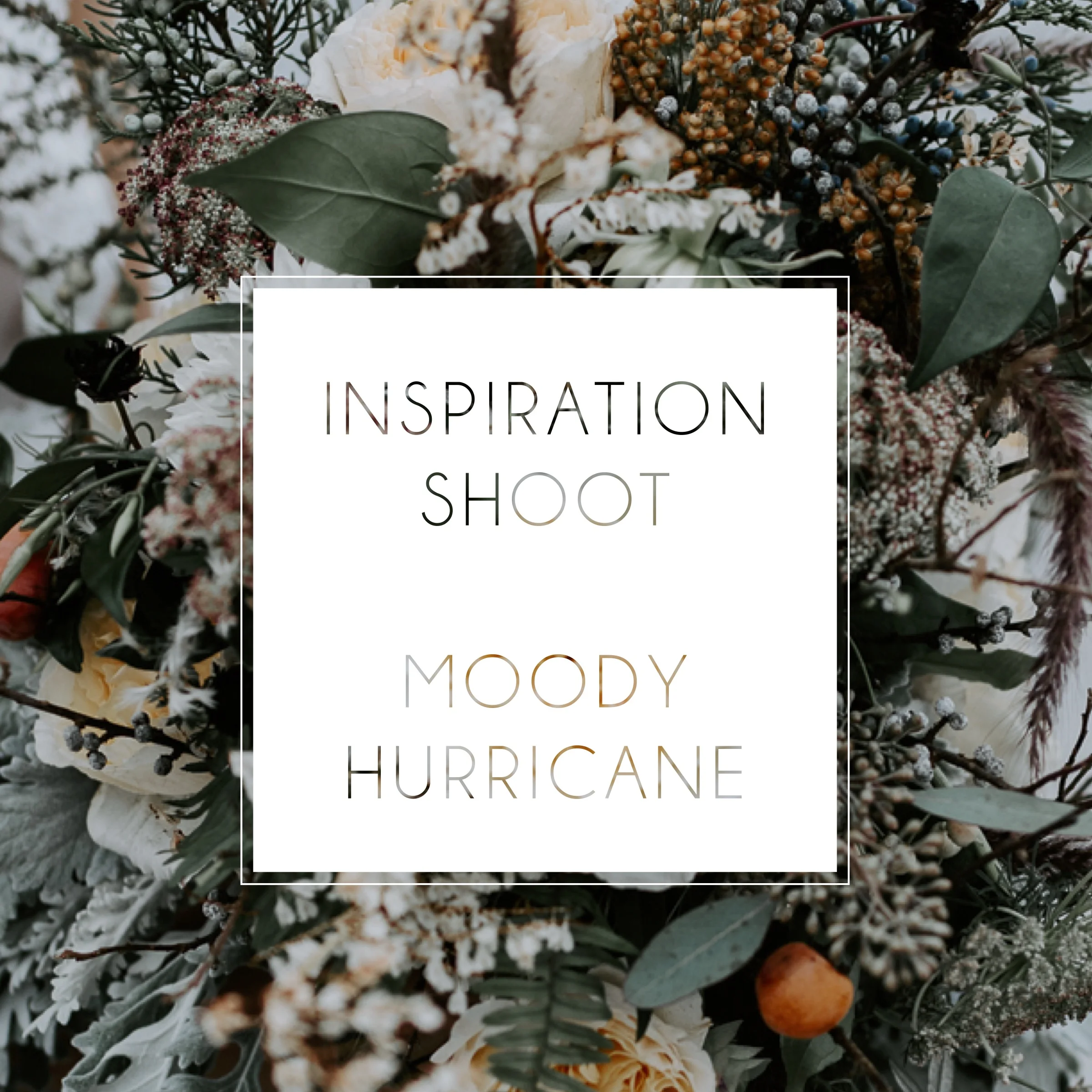COVER-HURRICANE.jpg