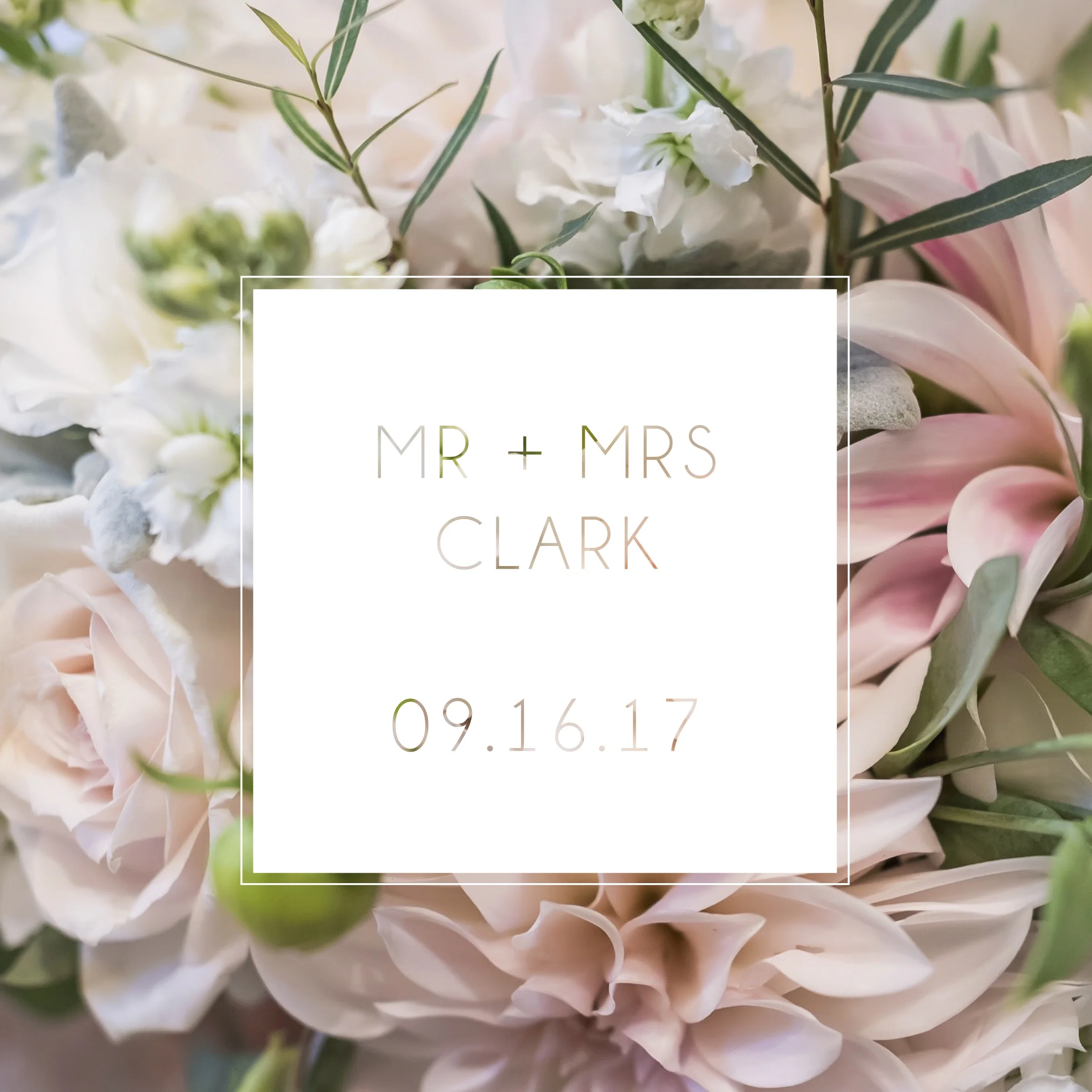 COVER-CLARK.jpg