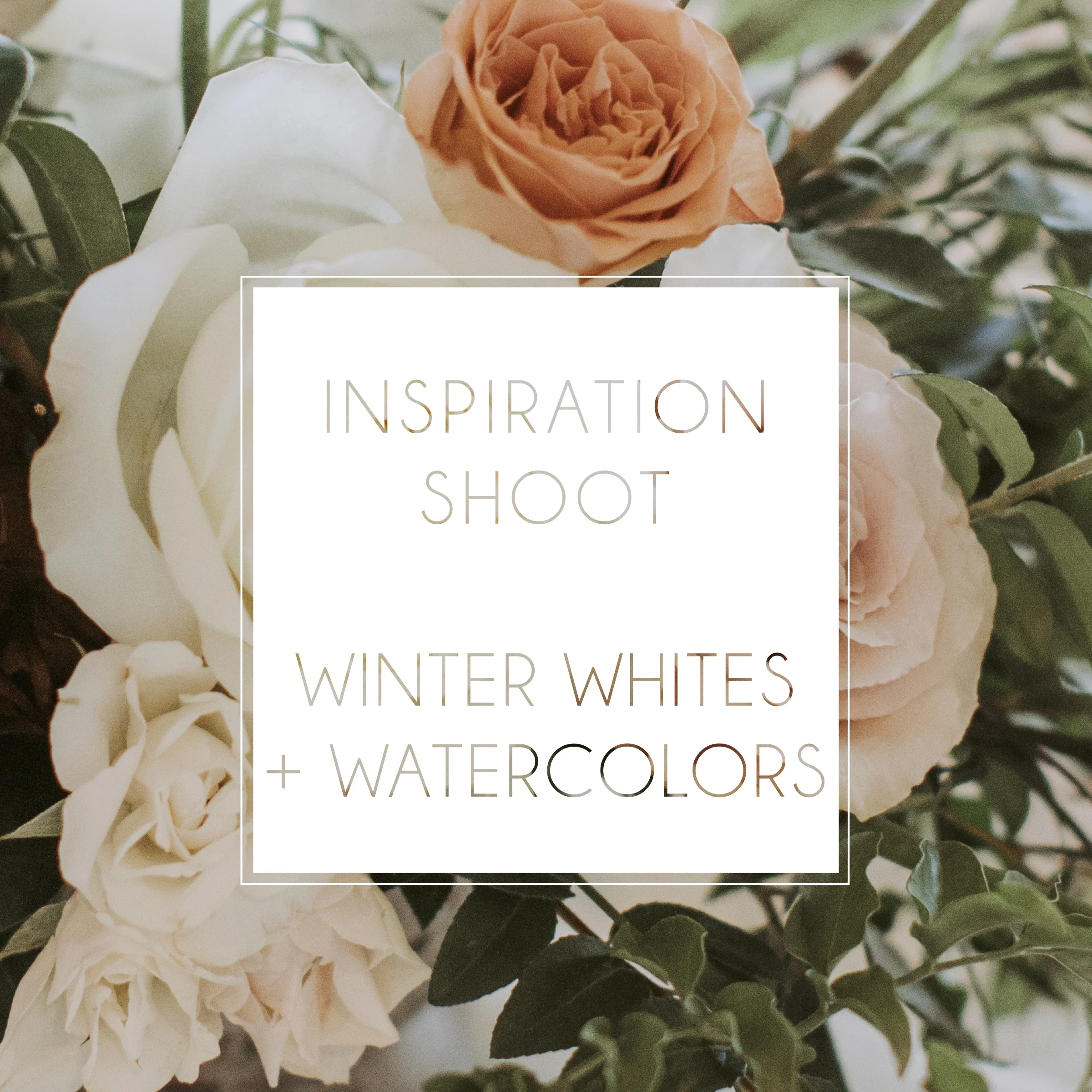 COVER-WINTERWHITES.jpg
