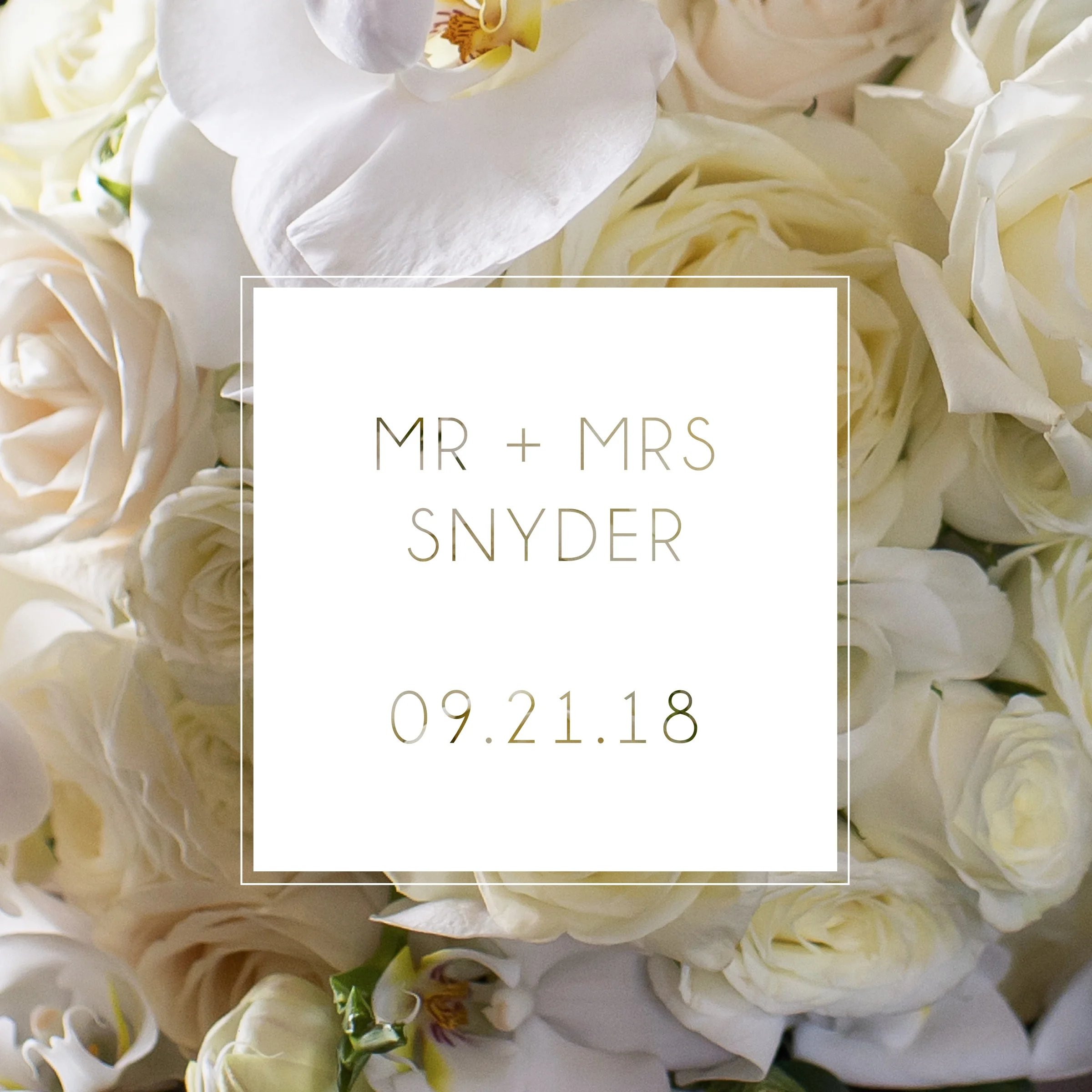 COVER-SNYDER.jpg
