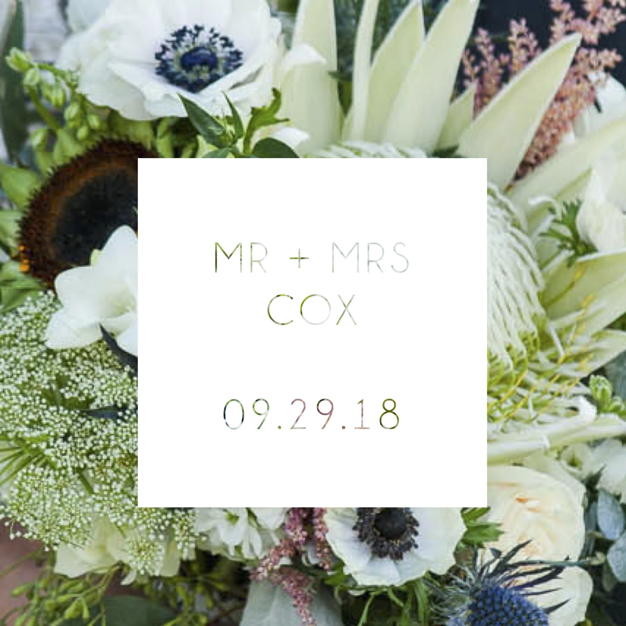 COVER-COX.jpg