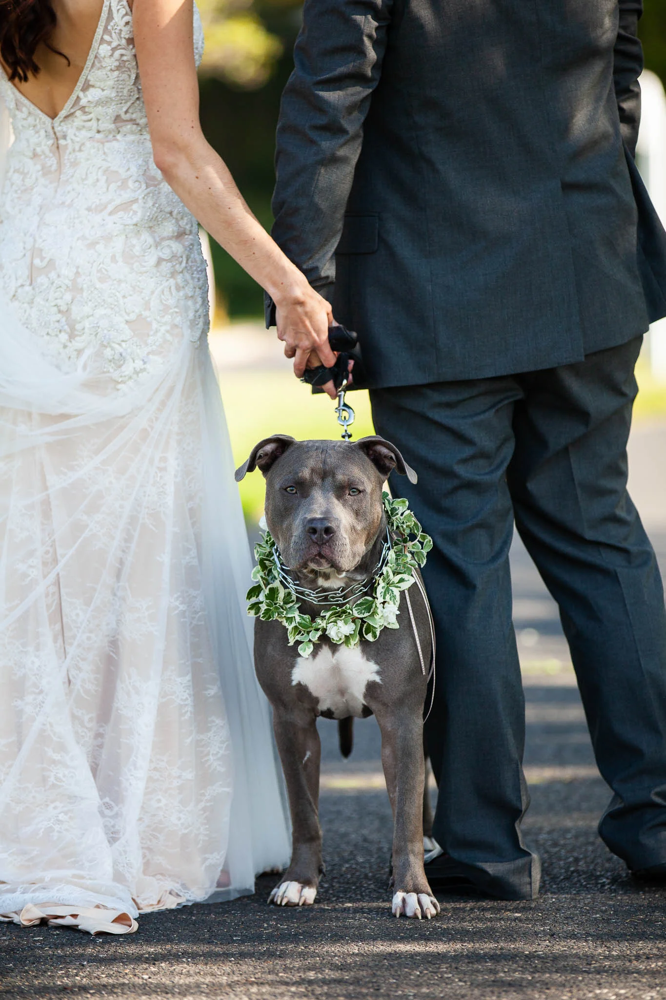 MadisonandJeffWeddingWEB-218.jpg