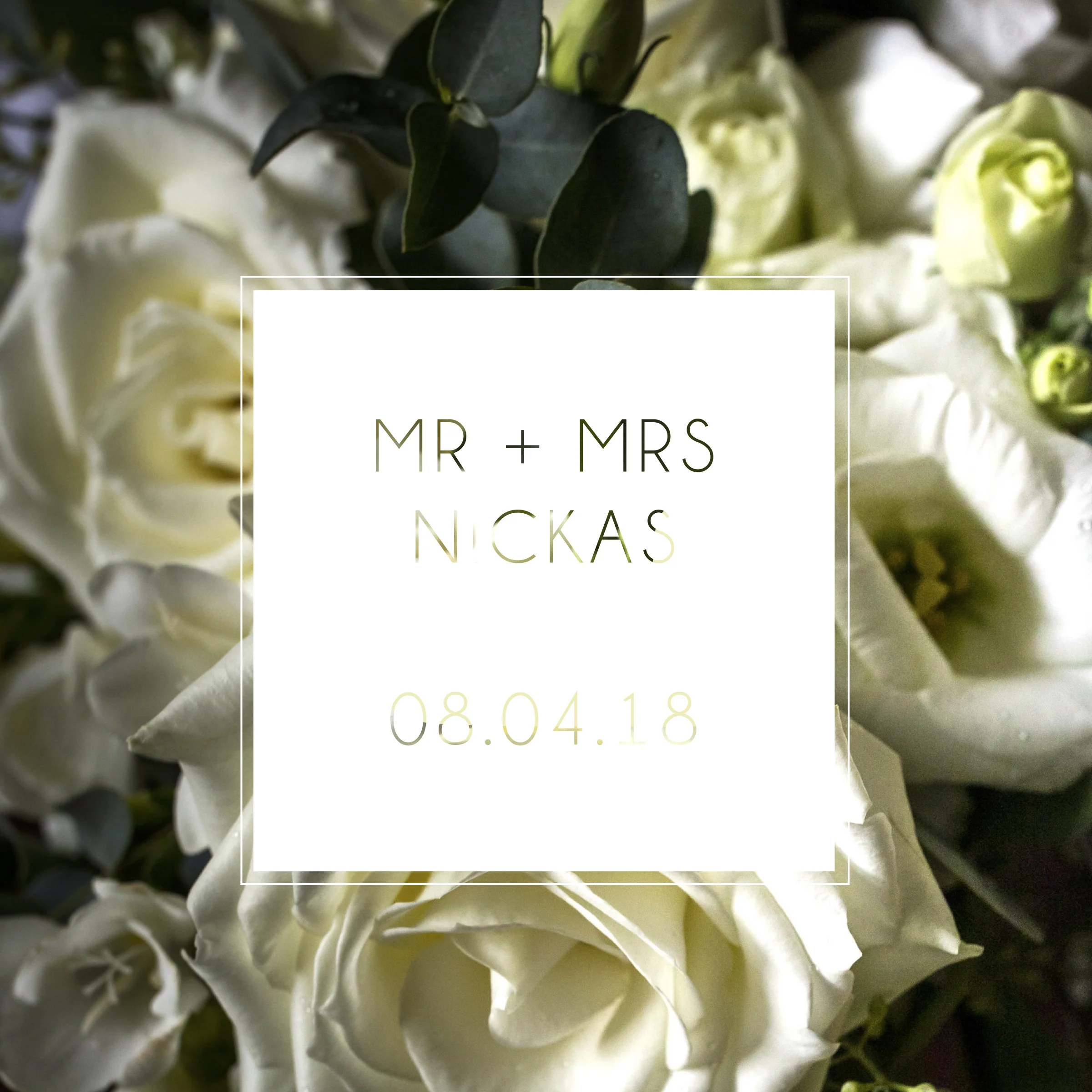COVER-NICKAS.jpg