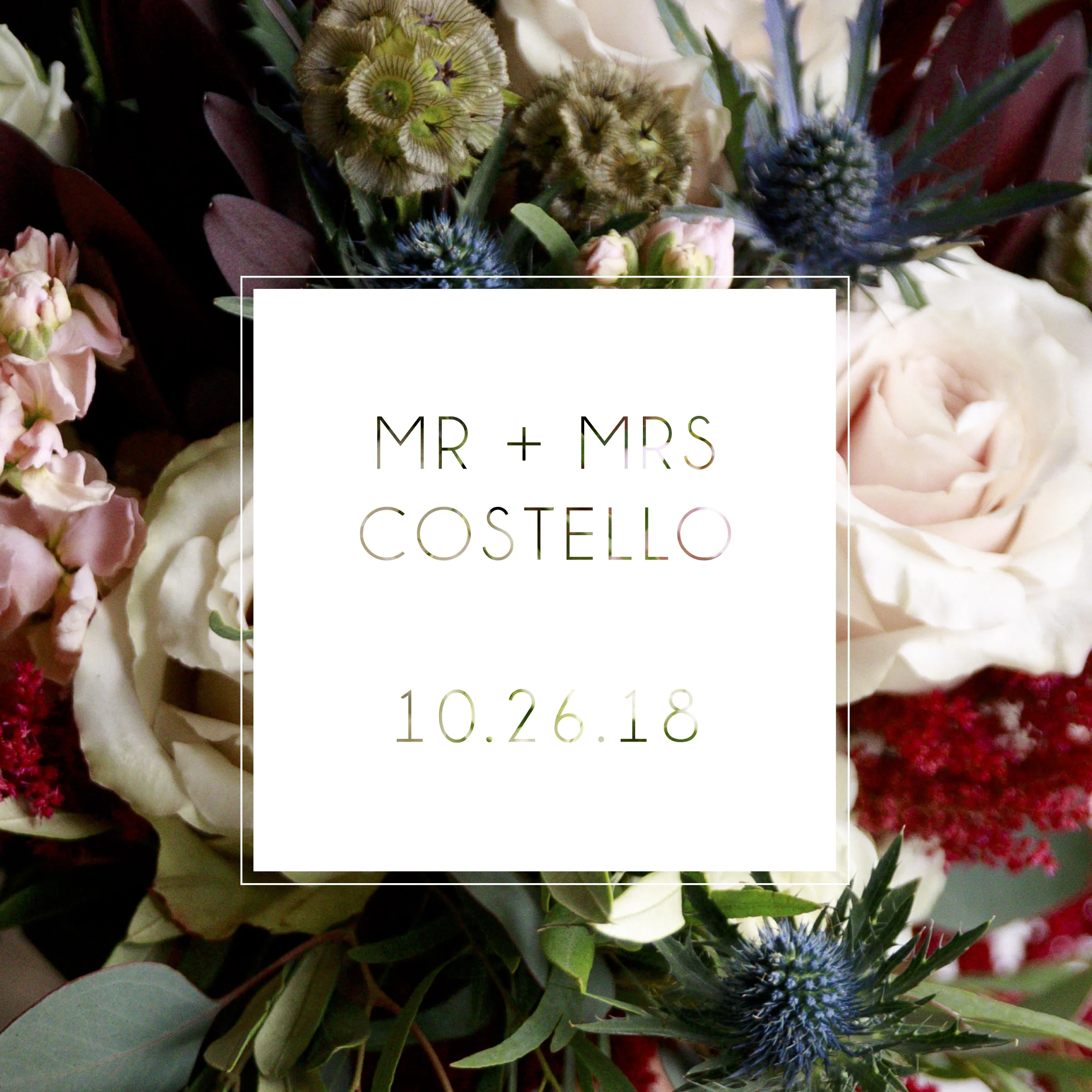 COVER-COSTELLO.jpg