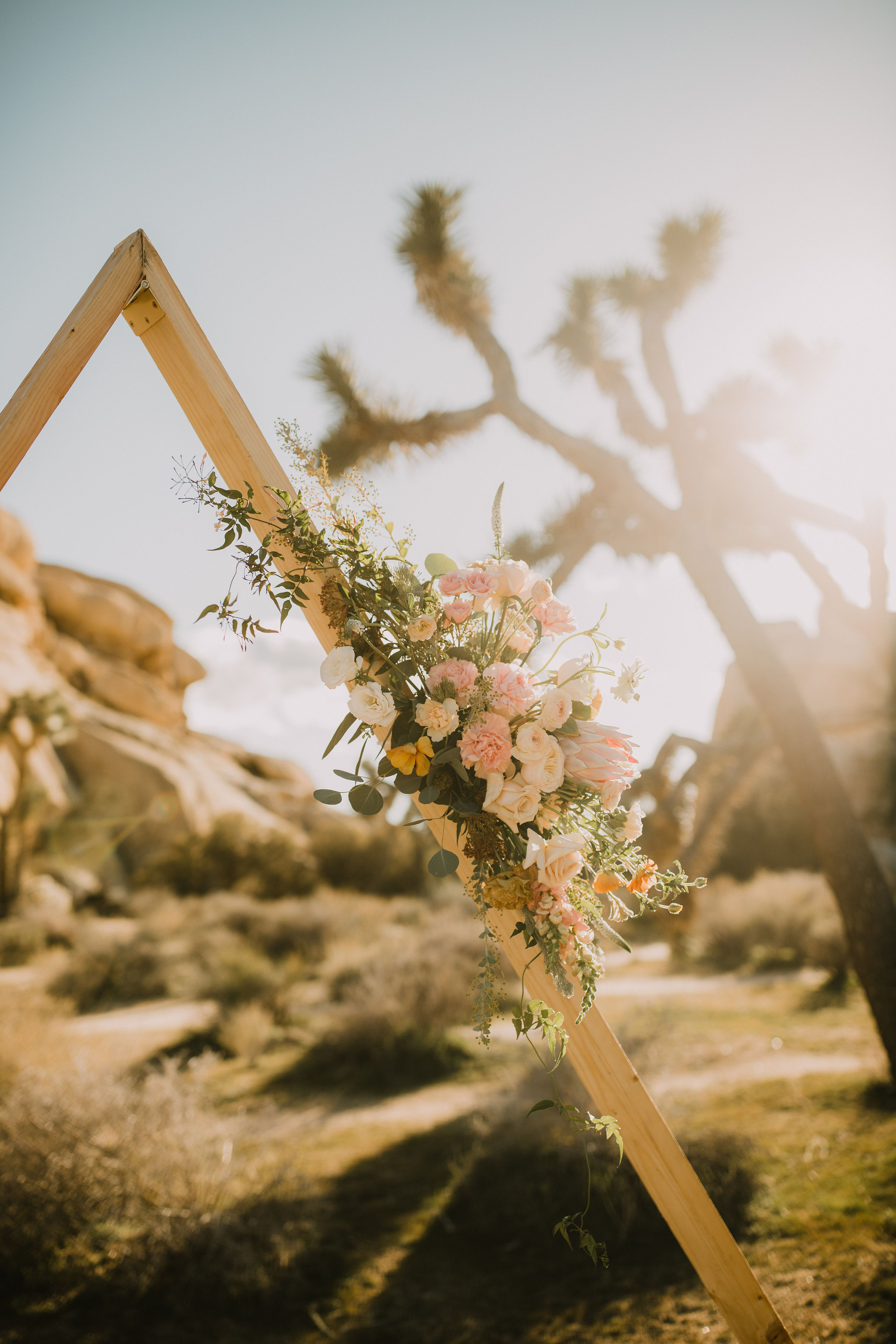 Joshua Tree elopement triangle arch.jpg
