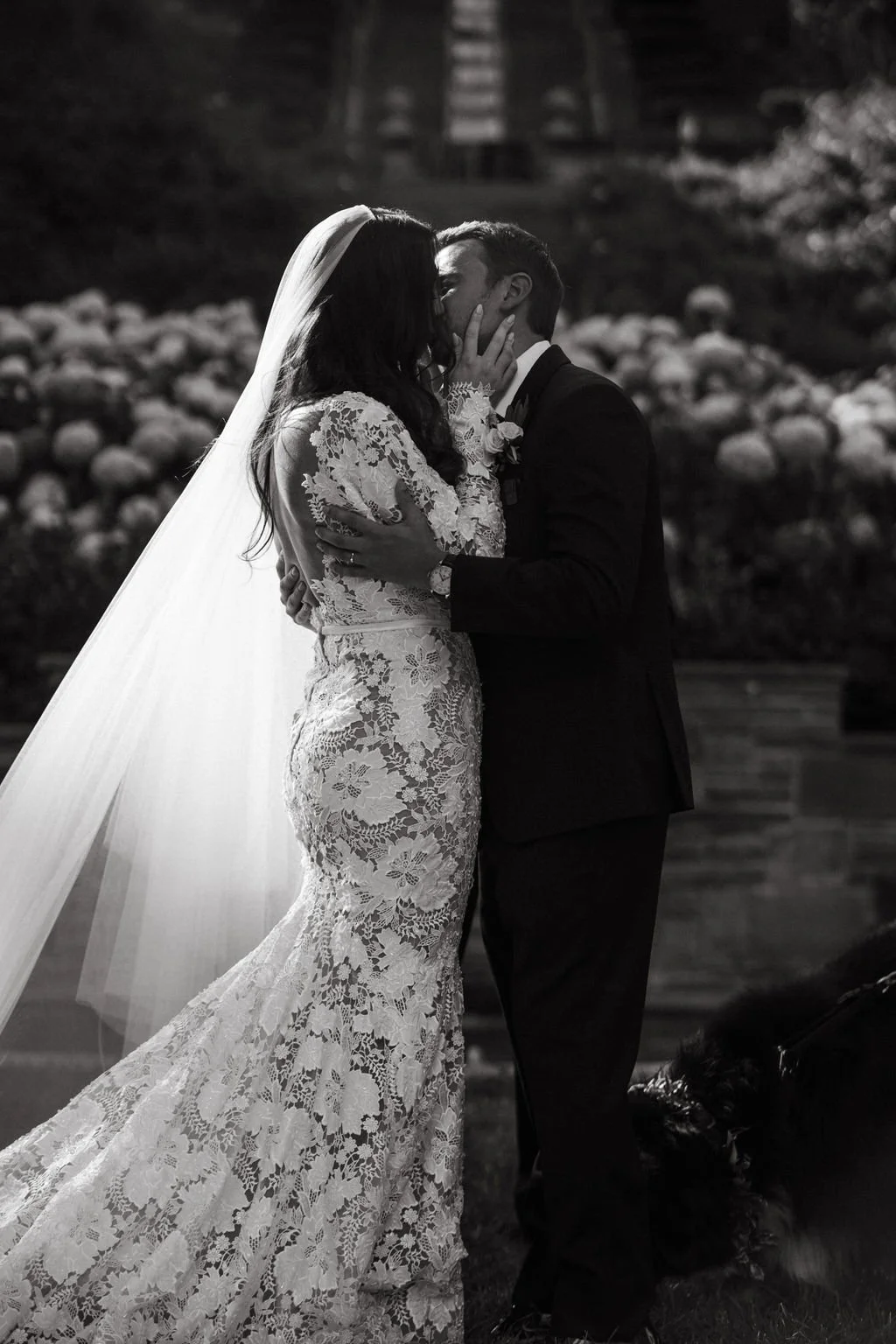 Virtual Marriage License Appointments — Weddings With A Twist, LLC