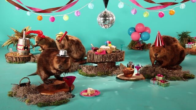 Beaver Party
