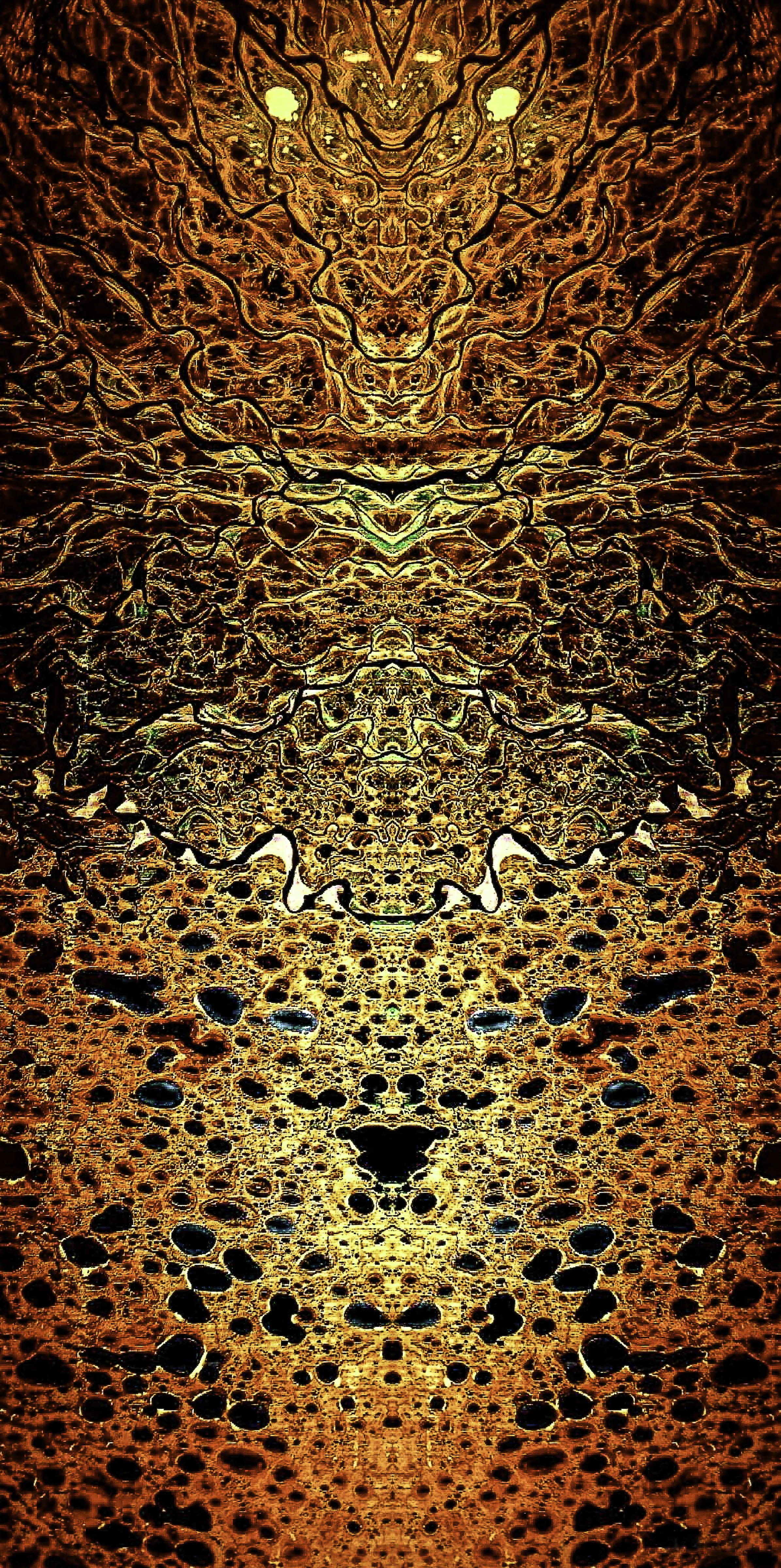 animus ortu