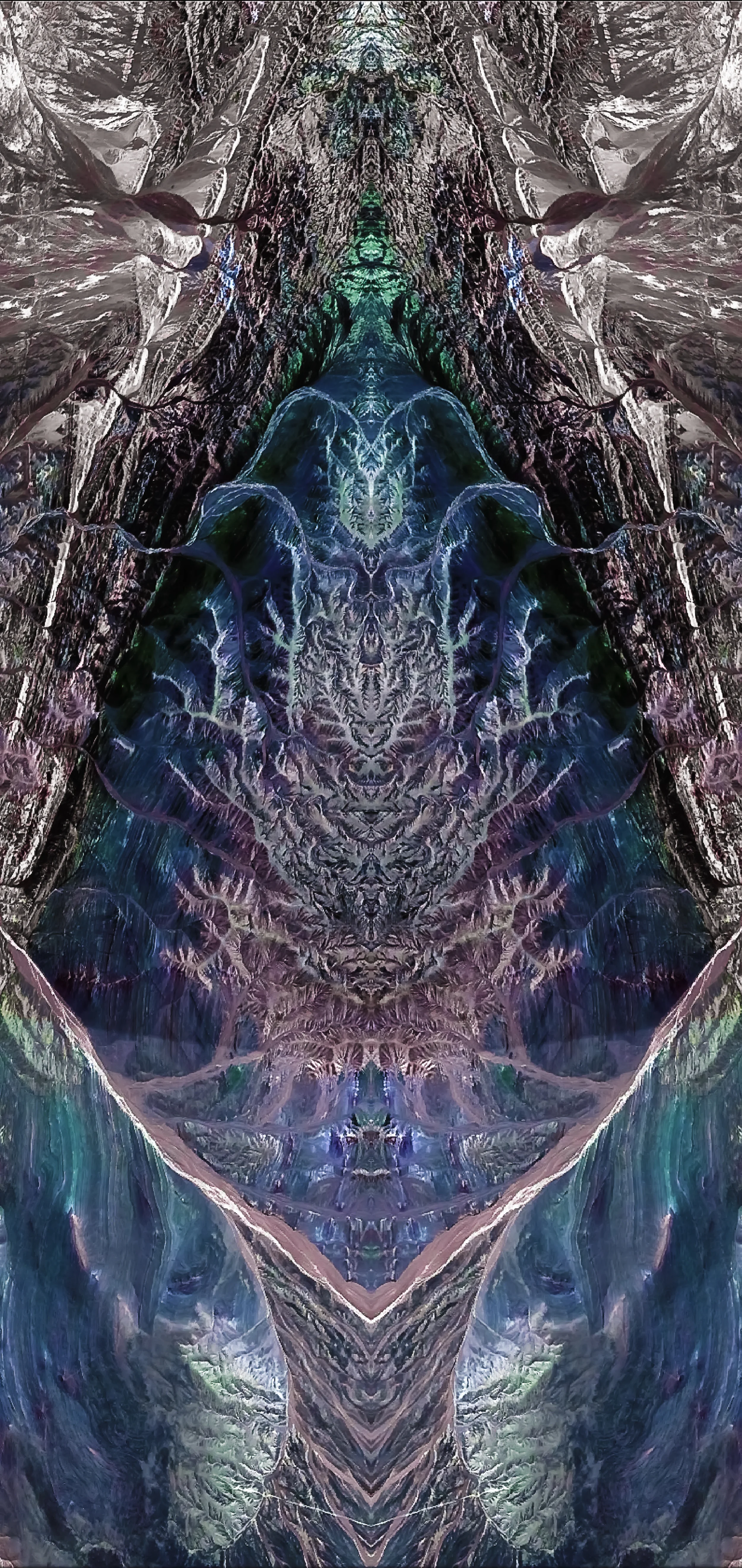 tree of reflection