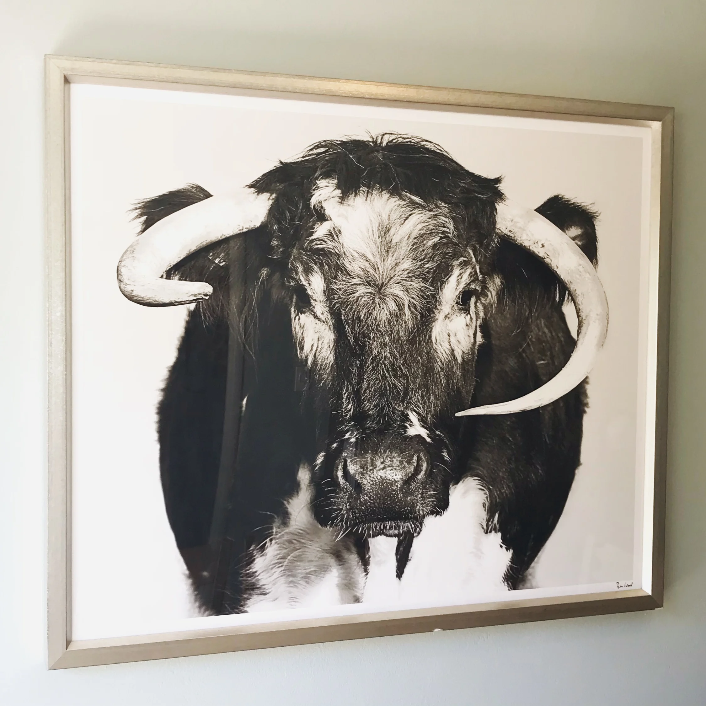 The Bull