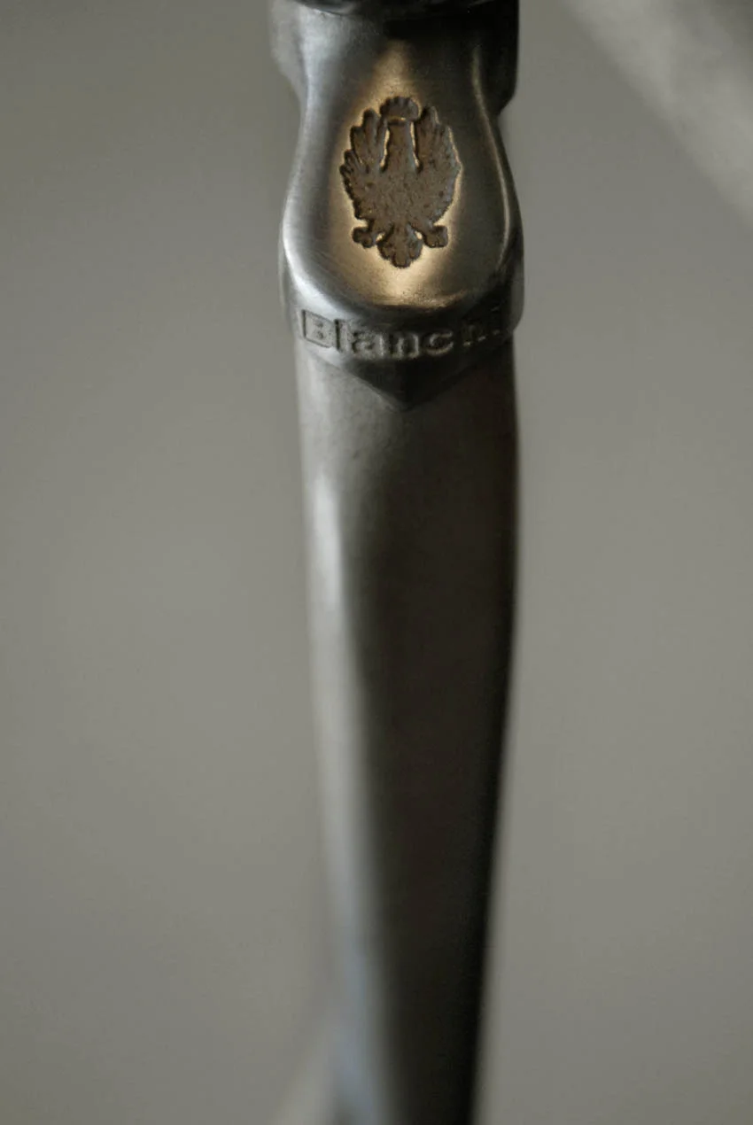 Bianchi investment cast fork crown