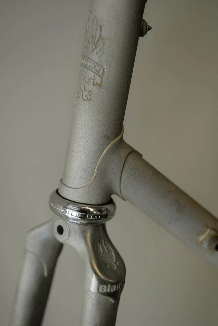 Bianchi X4 Edoardo Bianchi crest in investment cast fork crown.