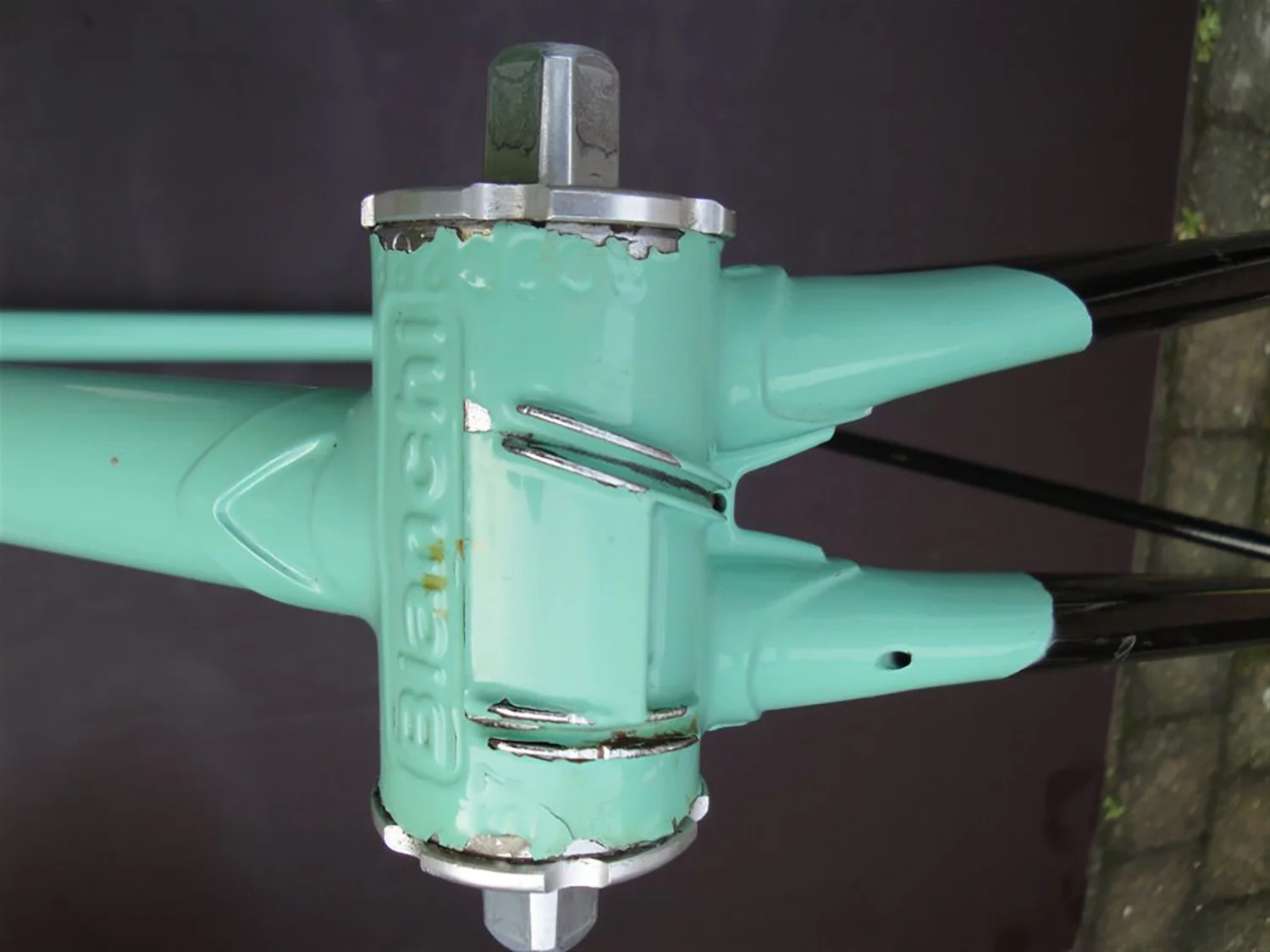 Specialissima Bianchi X4 Argentin